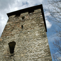             Die Ruine Hörtenberg, Foto: Dietrich
    